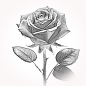 Preview: Rose 3